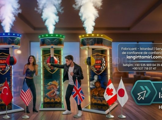 Meilleure Machine de Boxe Électronique 2026 : Le Guide Complet pour Investir